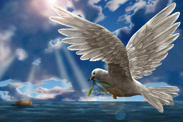 De gedachte erachter is afkomstig uit Gen.8, waar Noach een duif los liet.