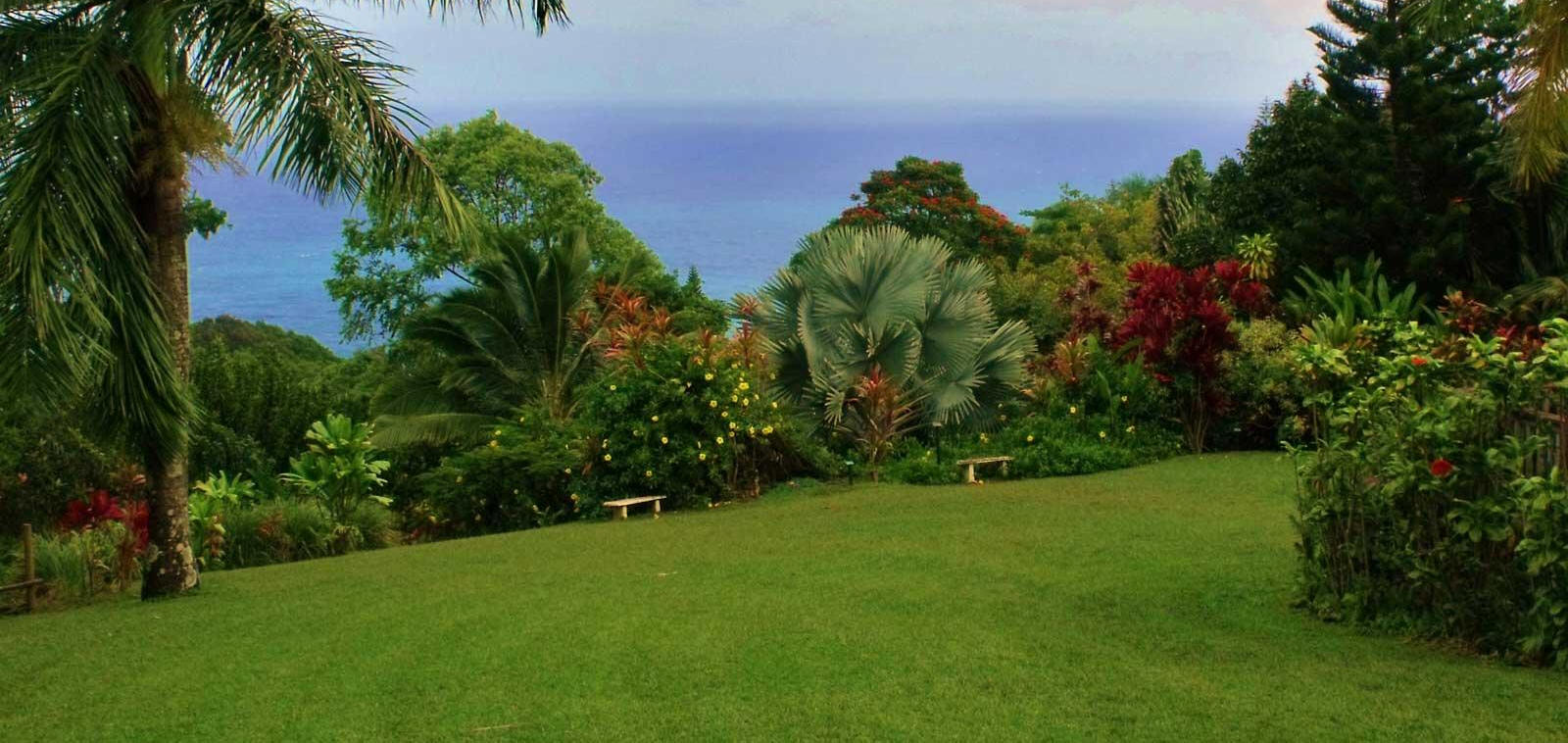 Het dal Siddim was erg vruchtbaar en groen, zoals de hof van de Heer.